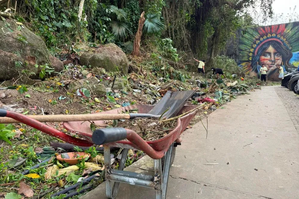 Zeladoria avança com limpeza nas encostas do Morro dos Barbosas, em São Vicente