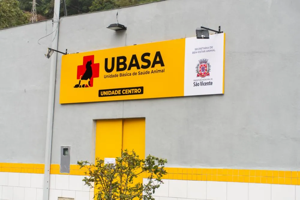 Dois cães da Ubasa de São Vicente aguardam uma nova família para distribuir amor