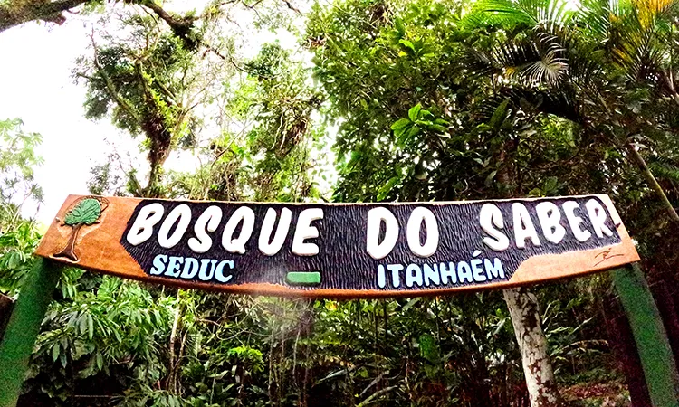 Alunos da EM Edson Baptista vivenciam aula ao ar livre no Bosque do Saber