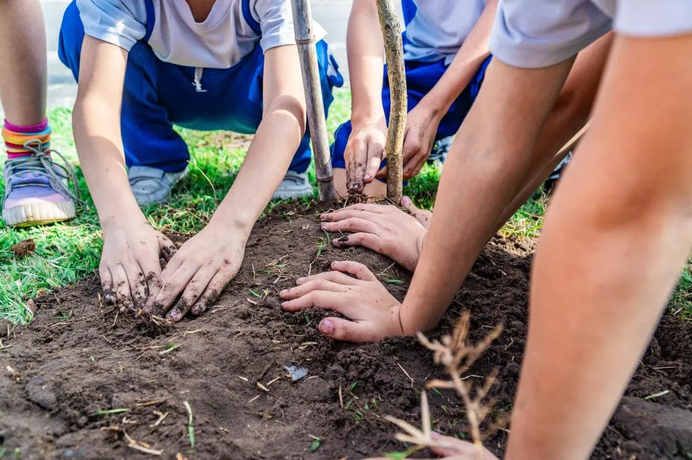 Prefeitura de Bertioga lança nova edição da Cartilha de Arborização Urbana