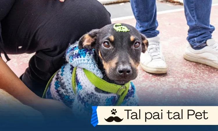 Campanha “Tal Pai, Tal Pet” incentiva adoção responsável em homenagem ao Dia dos Pais