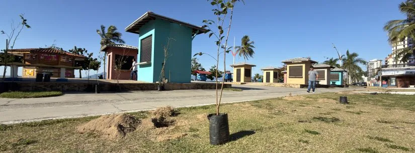 Caraguatatuba retoma Projeto Arborizar com plantio de 22 mudas nativas na Praia Martim de Sá