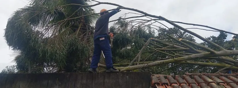 Boletim da Defesa Civil atualiza ocorrências após fortes ventos em Caraguatatuba
