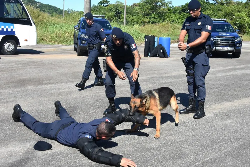 Canil da Guarda Civil Municipal atua há 19 anos em Praia Grande