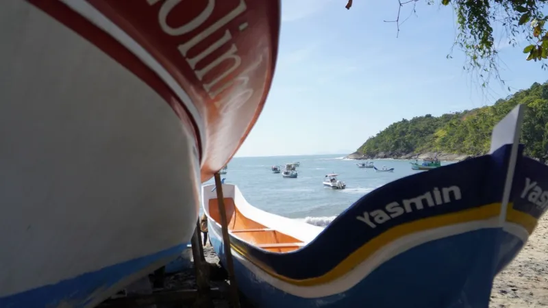Festa da Serraria celebra tradição caiçara e devoção ao Bom Jesus de Iguape em Ilhabela